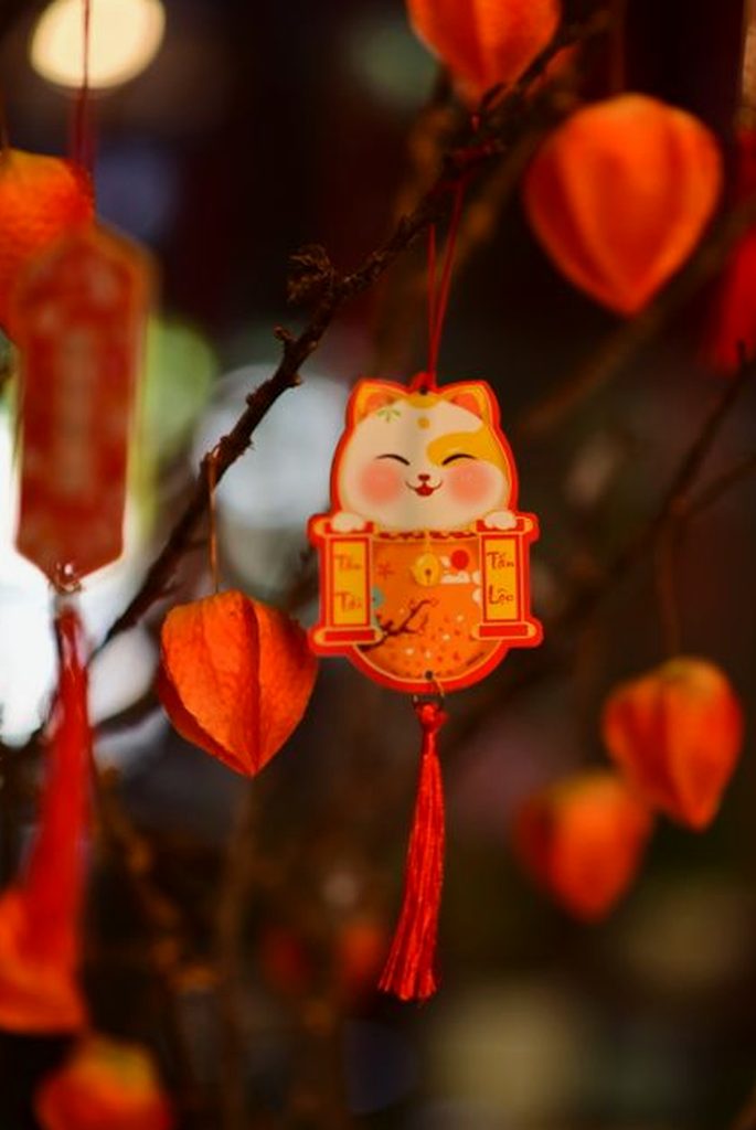 giấy phép Nohu